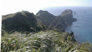 神威岬の遠景