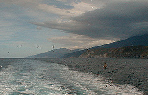 知床岬の遠景